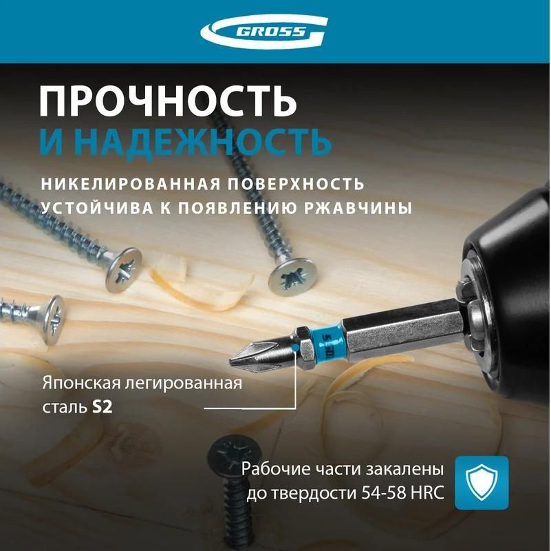 Бита PH1 50 мм Gross 11355, сталь S2, 2 шт - фото